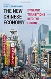 The New Chinese Economy: Dynamic Transitions into the Future