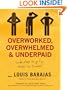Overworked, Overwhelmed, and Underpaid: Simple Steps to Go From Stress to Success