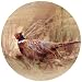 Pheasant Thirstystone Sandstone Coasters