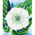 Art Reproduction Oil Painting - O'Keeffe Paintings: Jimson-Weed, 1932 - Standard 20"x24" - Hand Painted Canvas Art