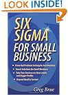 Six Sigma for Small Business