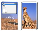Kesa Design - Leopard Desert - Protection Adhésive pour Apple iPod video 5è Génération