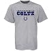 Search : Indianapolis Colts Ash Critical Victory T-shirt