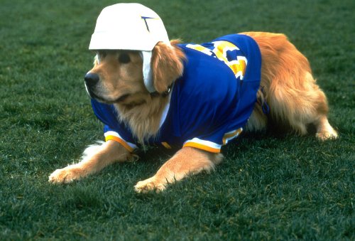 Air Bud 2: Golden Receiver (Bue...