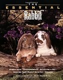 The Essential Rabbit (The Essential Guides)