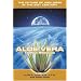 Aloe Vera the New Millennium: The Future of Wellness in the 21st Century