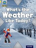 What's the weather like today?