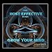 Enhancer-The Most Effective Music to Grow Your Mind