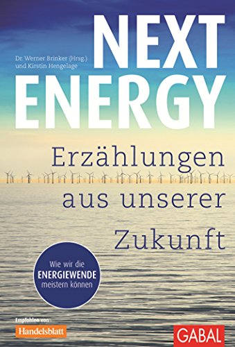 Next Energy: Erzählungen aus unserer Zukunft (Dein Leben) (German Edition)