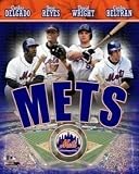 Carlos Delgado, Jose Reyes, Carlos Beltran and David Wright New York Mets MLB 8x10 Photograph 2007 B