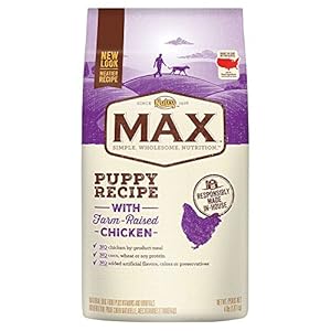 NUTRO MAX Puppy Recipe With Farm Raised Chicken Dry Dog Food 4 Pounds