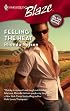 Feeling The Heat (Harlequin Blaze)