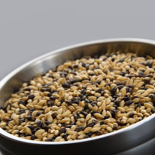 Tuxedo Barley (8 ounce)