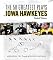 The 50 Greatest Plays in Iowa Hawkeyes Football History