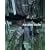 Anselm Kiefer. Die gro�e Monographie