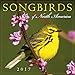 Songbirds of North America 2017 Mini Calendar