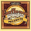 Ernie Ball EW Acoustic Medium Strings