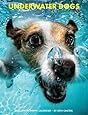 Underwater Dogs 2015 Engagement Calendar