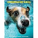 Underwater Dogs 2015 Engagement Calendar