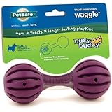 PetSafe Busy Buddy Waggle Dog Toy, Small