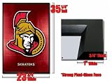 Framed Ottawa Senators Logo Poster 5339