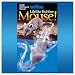 Realistic Full Size Rubber Mouse Halloween Gag