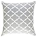 TreeWool Trellis Accent Spring Summer 16x16 Set of 2 Decorative Throw Pillow Covers 100% Cotton Home Decor Pillowcases for Sofa Couch (Silver Gray)