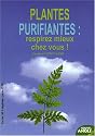 Les plantes purifiantes : respirez mieux chez vous