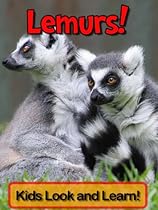Lemurs! Learn About Lemurs and Enjoy Colorful Pictures - Look and Learn! (50+ Photos of Lemurs) Lemurs! Learn About Lemurs and Enjoy Colorful Pictures - Look and Learn! (50+ Photos of Lemurs)
