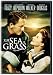 DVD : Sea of Grass [DVD] [1947] [Region 1] [US Import] [NTSC]
