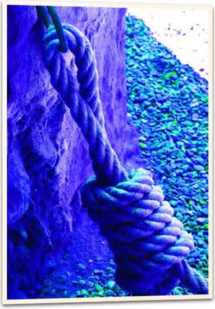 Print Fine Art Paper Museum Quality Unframed 27.57 x 39.37 in / Print "SOGA" by MIGUELON
