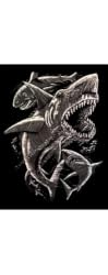 Holographic Engraving Sharks
