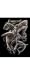 Holographic Engraving Sharks