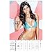 Maxim 2016 Poster Calendar by Trends International