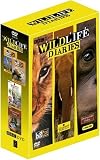 The Wildlife Diaries Box Set