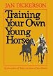Training Your Own Young Horse