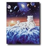 Galaxy Celestial Tiger Cub Cat Animal Wildlife Fantasy Home Decor Wall Picture 16x20 Art Print