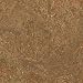 Forbo Marmoleum Sheet Neutral Color Sepia Vinyl Flooring