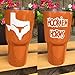 Burnt Orange Texas Orange Powder Coating Paint 1 Pound