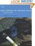 The Genesis of Animal Play: Testing the Limits (Bradford Books)