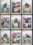 2006 Score Miami Dolphins Football Card Complete Set of 15 Cards including Daunte Culpepper plus rookie cards of Marcus Vick, Gerald Riggs, Derek Hagan, Devin Aromashodu, and Jason Allen