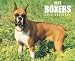 boxer9 - Just Boxers 2010 Calendar