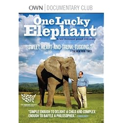 One Lucky Elephant