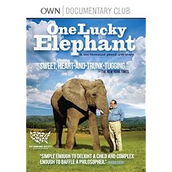 One Lucky Elephant