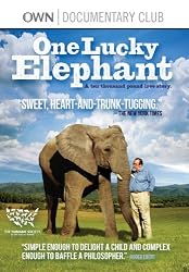 One Lucky Elephant