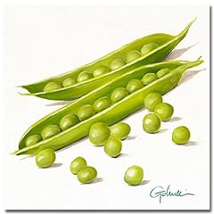 Kunstdruck, Poster, Stillleben von Paolo Golinelli , ERBSENSCHOTEN, Kunstartikel Bild f�r K�che, Esszimmer , 30 x 30 cm
