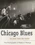 Chicago Blues as seen from the inside - The Photographs of Raeburn Flerlage