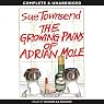The Growing Pains of Adrian Mole