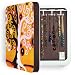 Wall Mount Jewelry Armoire Night and Day l (by DENY Designs BlingBox)