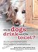 Why Do Dogs Drink Out of the Toilet?: 101 of the Most Perplexing Questions Answered About Canine Conundrums, Medical Mysteries and Befuddling Behaviors